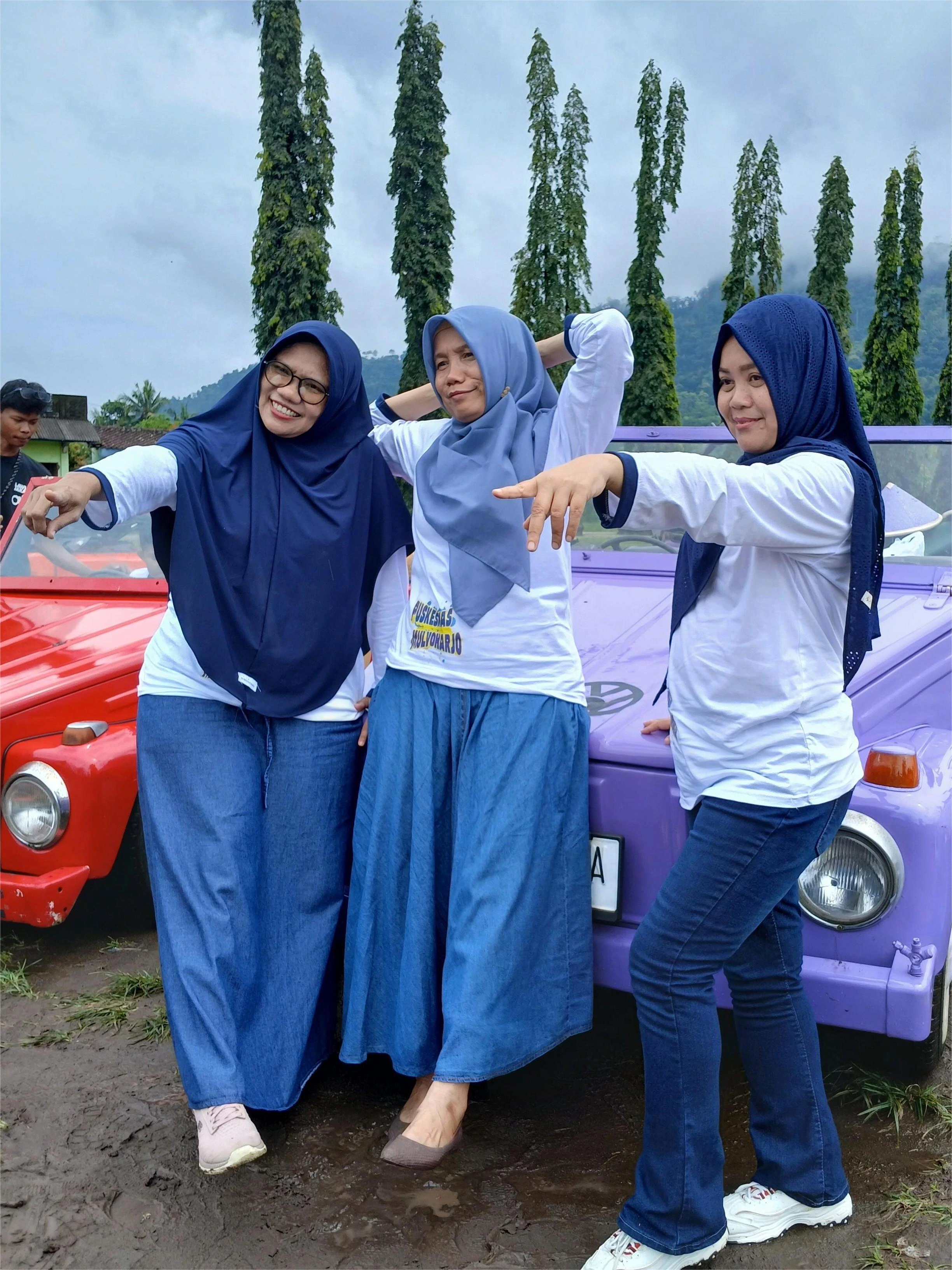 vw tour borobudur image